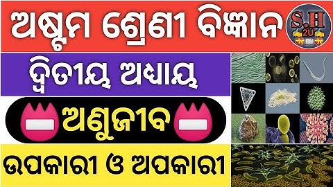 ଅଷ୍ଟମ ଶ୍ରେଣୀ ବିଜ୍ଞାନ||Class 8 Science Chapter 2||Odia Medium||Microorganisms-Friend and Foe||Part 1