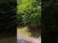 Prove Your Geo Skills in 10 Seconds! | Spot the Dot pt. 1367