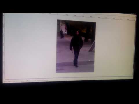 Realtime pedestrian detection