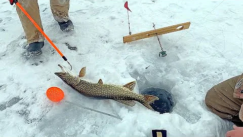 Washington Island's 43rd Annual Ray Hansen Lions C...