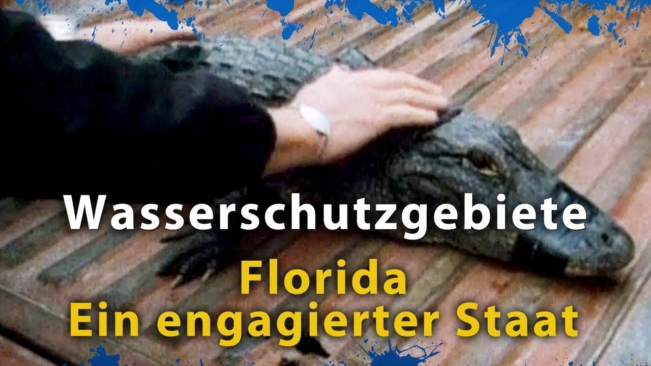 Wasserschutzgebiete - Florida, ein engagierter Staat - Film