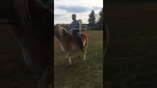 IMG 7438
