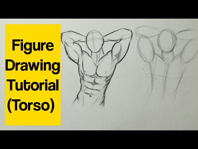 Figure drawing sketch, male model : r/drawing