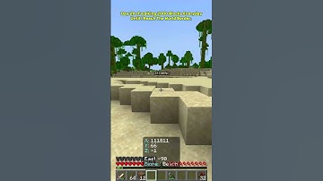 Day 29 of walking 2000 Blocks Every day until I reach the World Border. #minecraft #shorts #walking