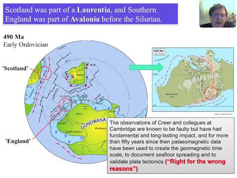 Global paleomagnetics, true polar wander and plate tectonics