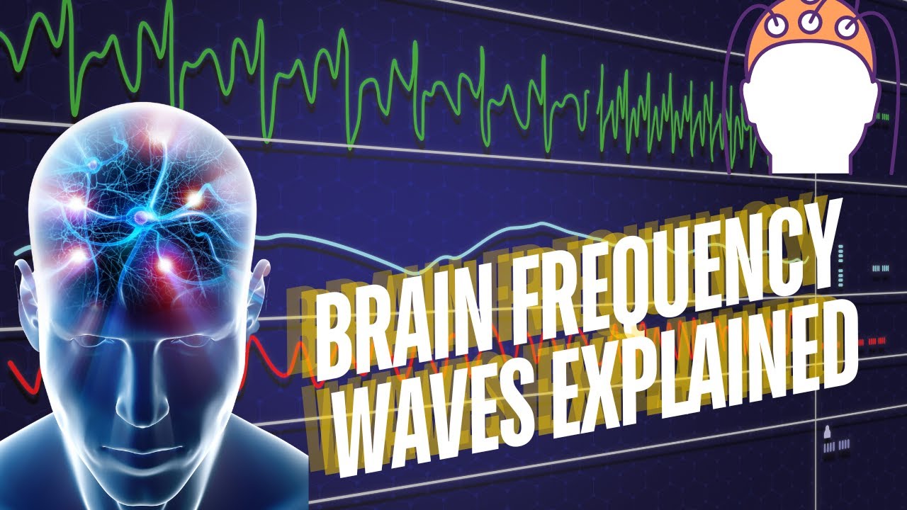Brain Frequency Waves Explained—alpha, beta, delta, and theta Brain Frequency Waves
