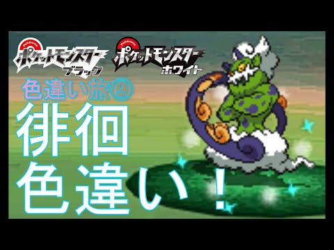【値下げ！】【色違い！GETあり】ポケットモンスター　ブラック2 値下げ！】【色違い！GETあり】ポケットモンスター ブラック2