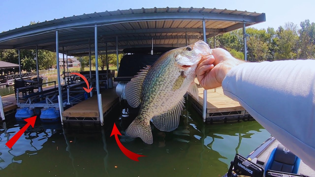 How TO Catch LATE SUMMER Crappie On BOAT DOCKS!! (Presented by 