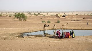 थार मरुभूमि (Thar Desert)