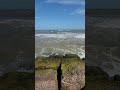 The Waves 🌊 Of Galveston Beach