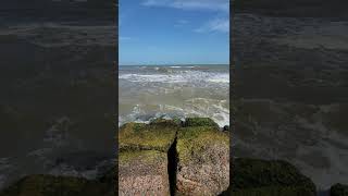 The Waves 🌊 Of Galveston Beach