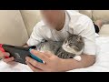 一日中ゲームばかりしてたら寂しがり屋な猫がついにこうなっちゃいました…