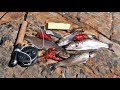 Catch and Cook and Camp Ep. 4 *WILD Trout, WILD Bass, WILD Crayfish*