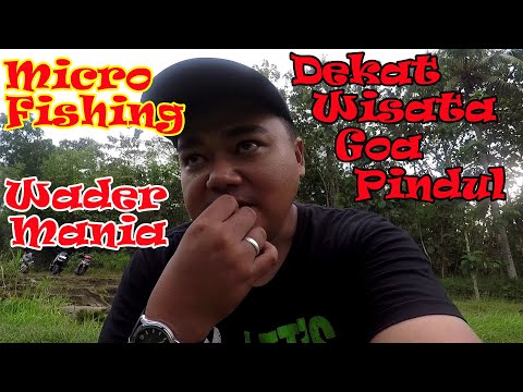 spot mancing micro fishing dekat wisata goa pindul, gunung kidul. ikannya ganas ganas nyambar umpan spot mancing micro fishing dekat wisata goa pindul, gunung kidul. ikannya ganas ganas nyambar umpan