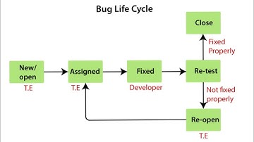Bug Life Cycle in Testing | Defect Status #testing