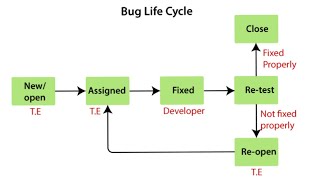 Bug Life Cycle in Testing | Defect Status #testing