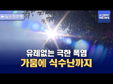 [뉴스정주행] 유례없는 극한 폭염‥가뭄에 식수난까지