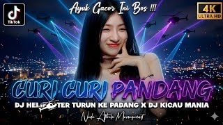 AYUK GACOR™ - DJ Curi Curi Pandang ‼️ DJ Helikopter Turun Ke Padang ‼️ DJ Kicau Mania ‼️DUGEM FUNKOT