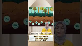 BBSDLP mempunyai inovasi teknologi berupa peta lahan gambut dan peta lahan rawa.