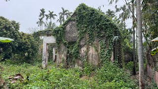 Miraculous transformation of an abandoned house with overgrown grass covering the roof by Cleanup Overgrown 38,423 views 2 months ago 46 minutes