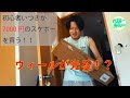 初心者がネットで7000円のスケボーを買う！