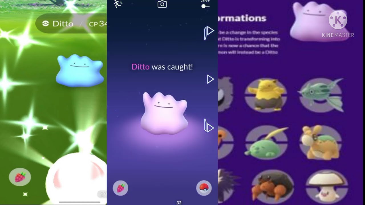 How to catch ditto in pokemon go the easiest way YouTube