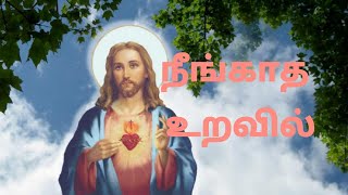 Vignette de la vidéo "Neengatha Uravil Song Lyrics in| Tamil Christian Song |"