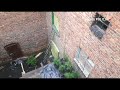 Plantacja marihuany na dachu w centrum Katowic. Wykrył ją policyjny dron.