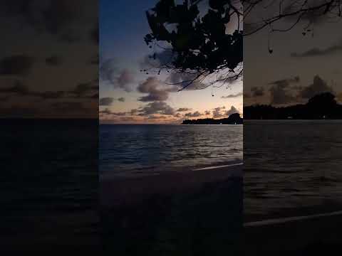 فاكر ياحبيبى في يوم