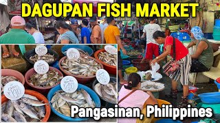 DAGUPAN, Philippines  Morning SEAFOOD MARKET SCENE | Magsaysay Fish Port 2023 Prices  PANGASINAN