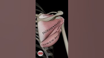 Build A STRONG Rotator Cuff (3 Easy Steps)