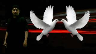 Pelet puter giling merpati jala sutra ario seduting wisanggeni