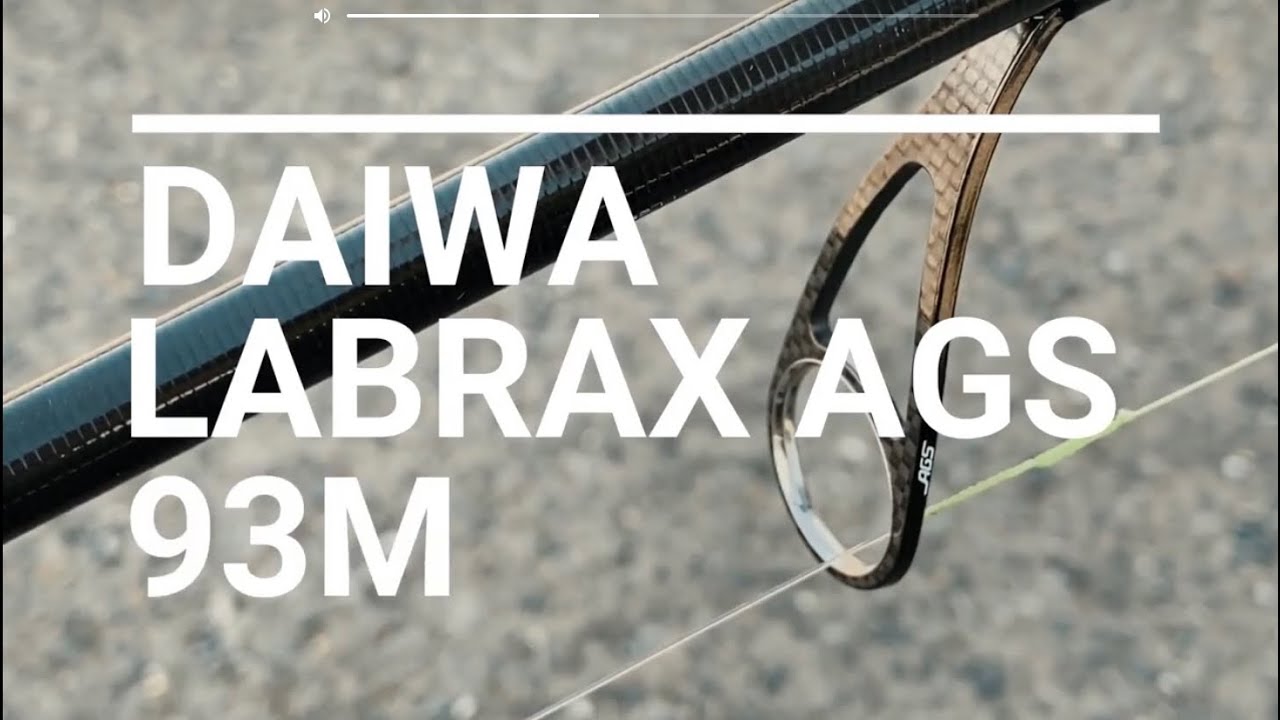 【新型】DAIWA 21 LABRAX AGS 93M 【ラブラックス】