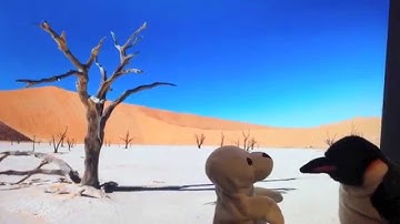 Science vs. Pseudoscience