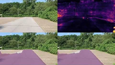 Segmentation and Tracking of Out of Distribution Objects