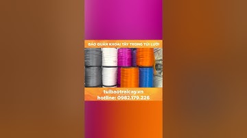 Ý tưởng mới khi dùng túi lưới đựng khoai tây/Nongnghiepthanhha.vn #shorts