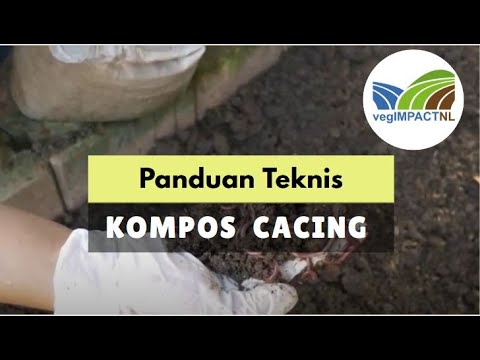 Cara Menyiapkan Kascing untuk Vermicomposting - vegIMPACT NL