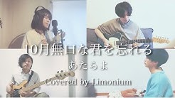 Limonium Official Youtube