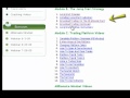 To Online Currency How Trade