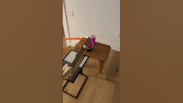 This is crazy!! #trickshot #pingpong #viral #youtubeshorts #shorts #track