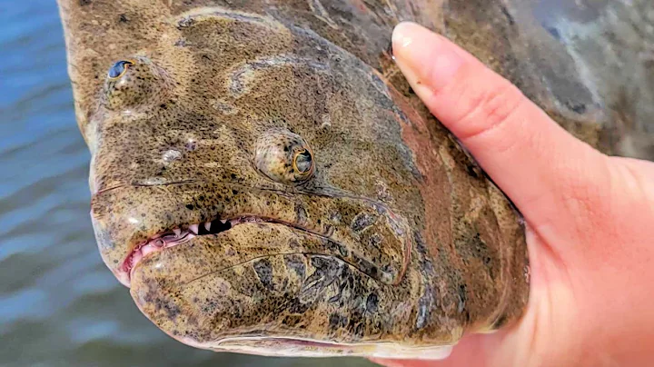 3 Best Flounder Lures For Catching Doormats This Summer