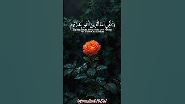 سورة الزمر، من الآية 60، القارئ أدريس أبكر