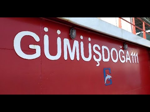 TÜRK SOMONU ÜRETİMİ
