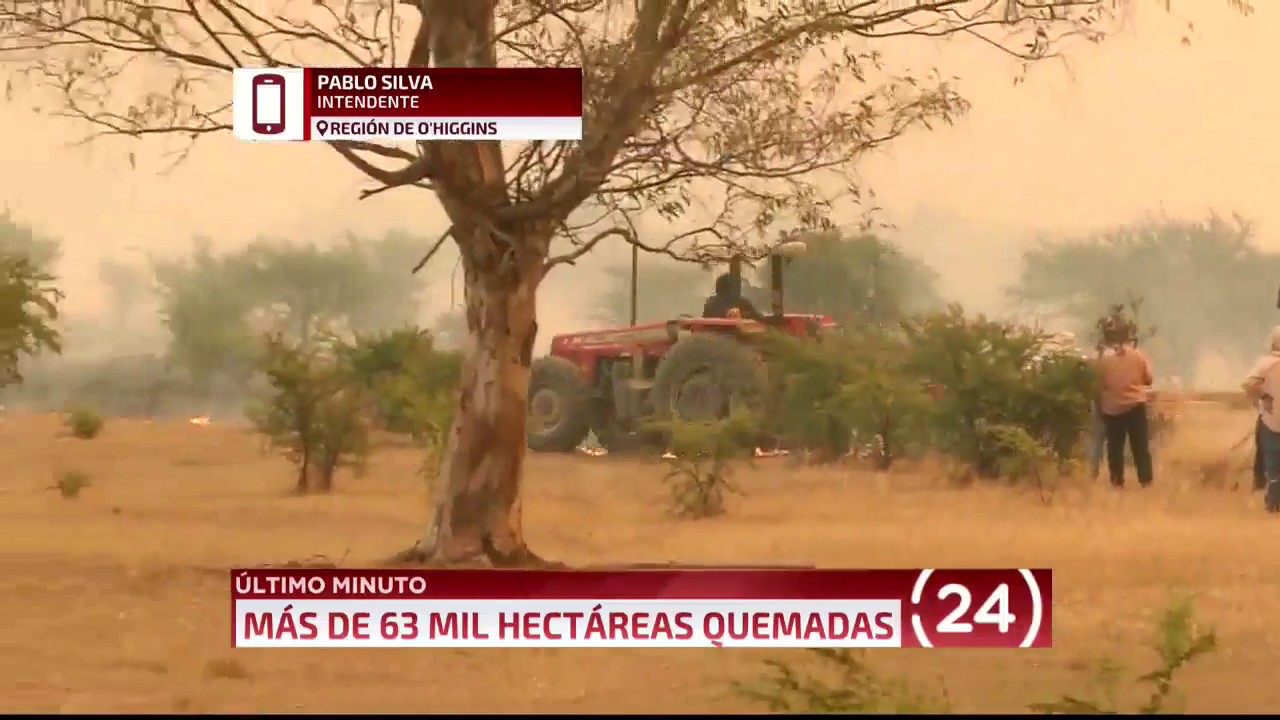 Intendente de O'Higgins y estado de incendios: "El fuego sigue avanzando" | 24 Horas TVN Chile