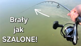 Po prostu Magia! WIELKIE RYBY atakują! Idealny Koniec Sezonu! Wędkarstwo Method Feeder!