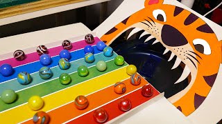 Marble Run Race Plasticine Tiger ASMR Pop Tubes