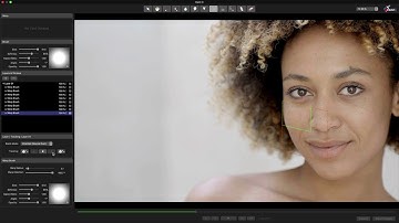 Paint X 6  Warping a face to change expression