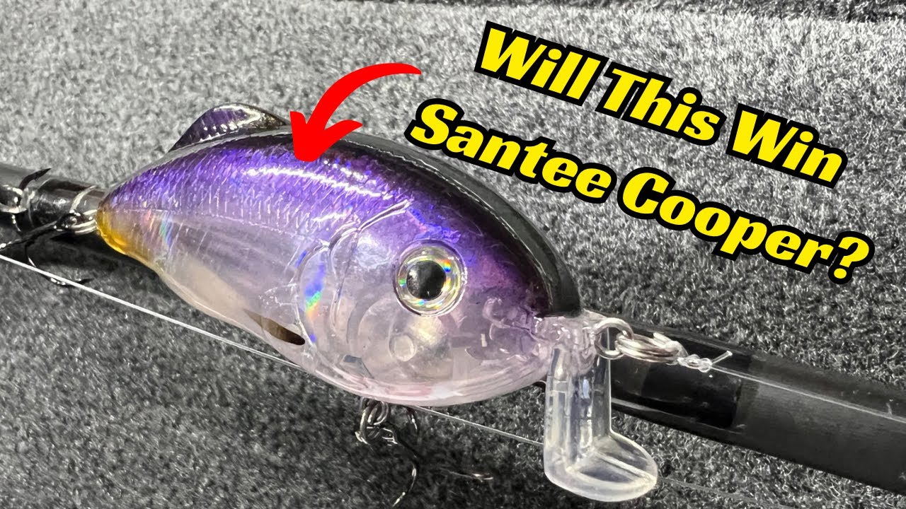best saltwater fly fishing accessories Saltwater Fly Fishing Gear Guide