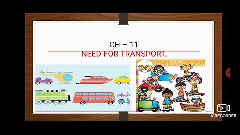 CBSE CLASS 5 - SST CHAPTER 11 - NEED FOR TRANSPORT Part 1