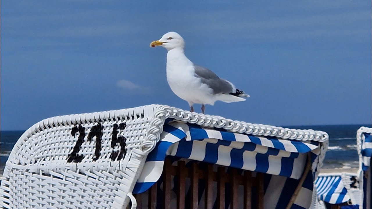 2024-05-25 - 06-02 - Urlaub Neuharlingersiel - Teil 1